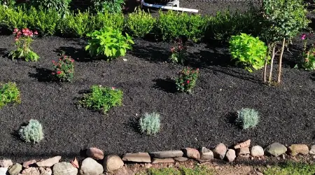 Mulch Installation