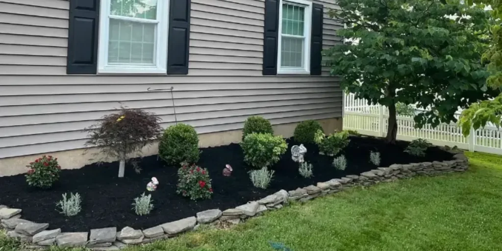 best plants for New Jersey yards